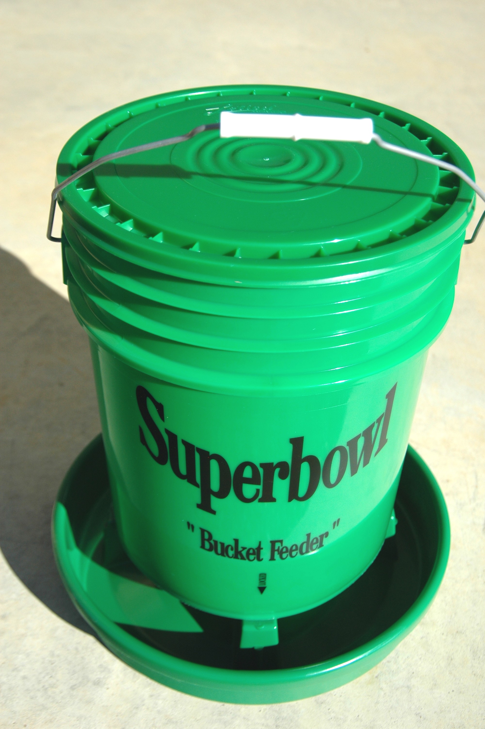 Poultry Feeder Superbowl Homesteader's Supply